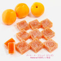オールシーズンにオススメ★フランス伝統菓子講座★フレーバーを選べる「パート・ド・フリュイ」