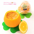 オレンジのお菓子講座★生★ババロワーズ・オランジュ、シブースト・オランジュ、タルト、ゼリー他