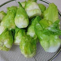 博多蕾菜