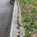 夏休み振り返り