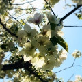 3月レッスン終了致しました