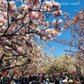 5月始まりました