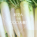 おでんにぴったりの大根は？【ゆるベジらく膳やさい料理教室】