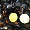 Cozze ムール貝　岡山県産の大きめなもの