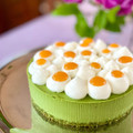 新緑の季節のお菓子　Gâteau Matcha
