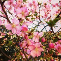 ブログ　お引越し