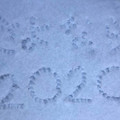 あっと言う間に