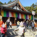 もう、11日