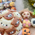 【募集】１1月スケジュール