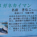 あんフラワーと和菓子