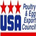 「アメリカ産ターキー」を使ったレッスン実施中！