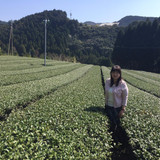 和の香