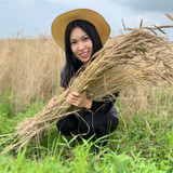 沢野 亜伊子