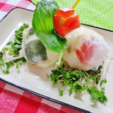 カプレーゼ風鶏肉入り♡生春巻きソテー