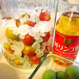 梅シロップの検証　白砂糖・氷砂糖&お酢