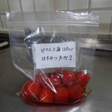 「蜂蜜ピクルス」～ピクルス液の応用～