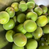 自家製青梅シロップ