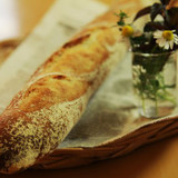 ＢｒｅａｄＳｃｈｏｏｌパンの木