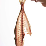 〈魚さばき＆魚料理〉サカナ！さばき御殿