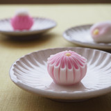 和菓子Labo一陽