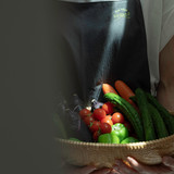 THE VEGE SIaCO ~Eating Room~
