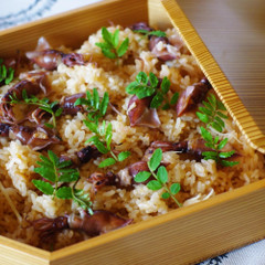 春の献立「蛍烏賊の炊き込みご飯」
