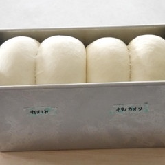 【パン理論基礎コース】食材の種類を代えて比較します。
