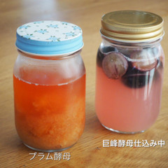 季節のフルーツで起こす酵母は
香りが抜群