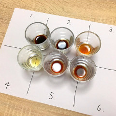 １１月「しょうゆ基礎講座」で行う、利き醤油の様子