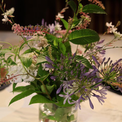 季節の花々を設える