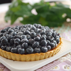 チーズケーキタルト ブルーベリーのせ