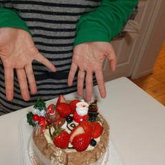 クリスマスのブッシュ・ド・ノエルです