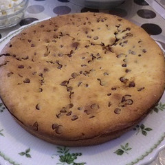 チョコチップ入り　ヨーグルトのチャンベッラ