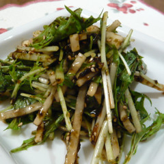 水菜とダイコンの海苔和えサラダ