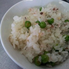 桜ご飯