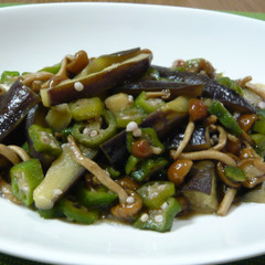 ナスとねばねば野菜の生姜煮