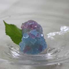 紫陽花