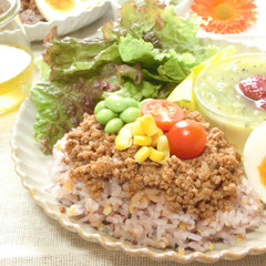 そぼろハンバーグ丼 