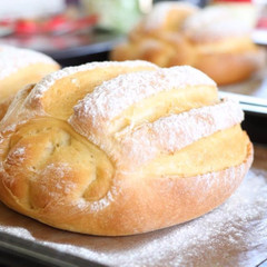  やさしい甘さのふんわりミルクハースパン 