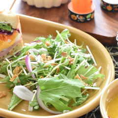 水菜サラダ＆自家製ごまドレ☺︎