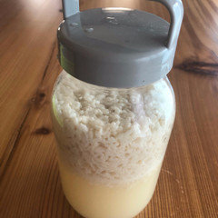 甘糀酵母