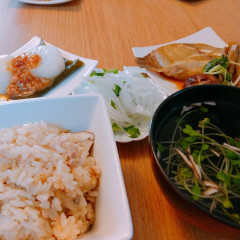 大根とごぼうで5品作ろう