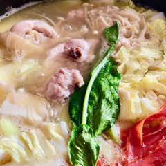 博多の水炊き〜究極のお鍋〜