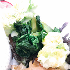 カツオ菜のオイスターソース炒め