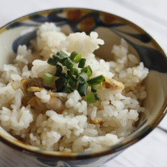 ホンビノス貝の混ぜご飯