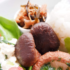 干し椎茸の戻し方
