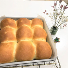 人参パン