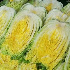 キムチ作り下準備～白菜塩漬け