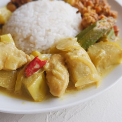 ココナッツミルクとナスのチキンカレー