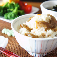 鶏ごぼうの混ぜご飯